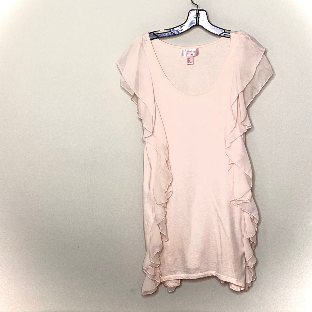 H&M The Garden Collection Blush Ruffle Dress
